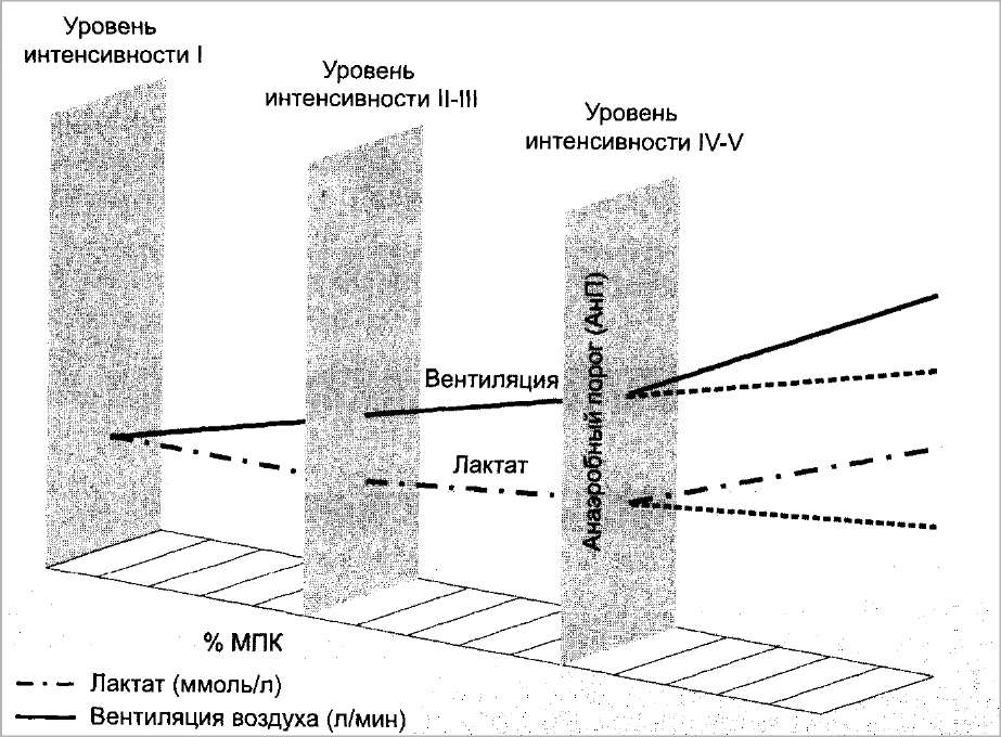 0%20-%200052-1.jpg